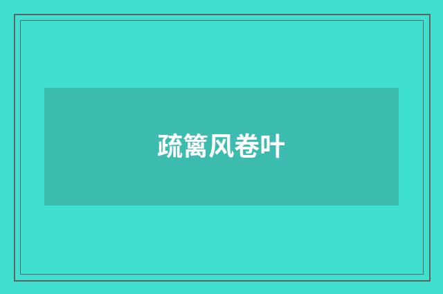 疏篱风卷叶
