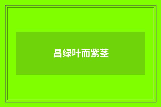 昌绿叶而紫茎