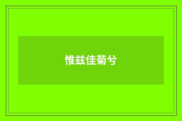 惟兹佳菊兮