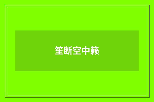 笙断空中籁
