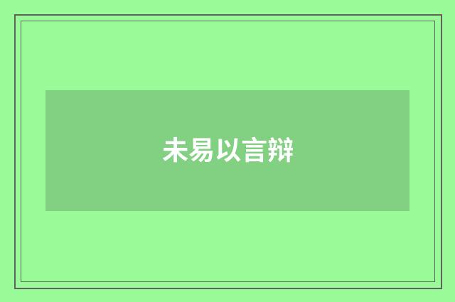 未易以言辩