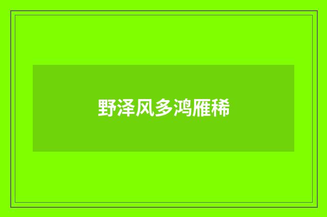 野泽风多鸿雁稀