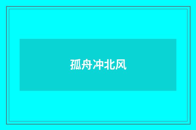 孤舟冲北风