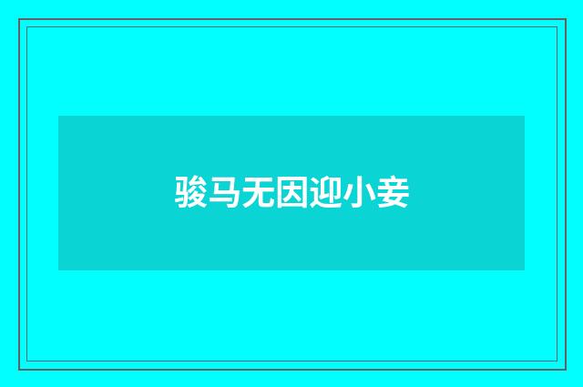 骏马无因迎小妾