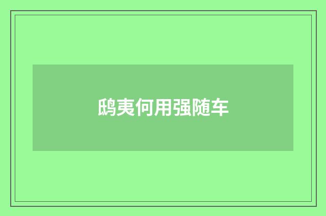鸱夷何用强随车