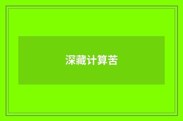深藏计算苦