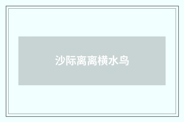 沙际离离横水鸟