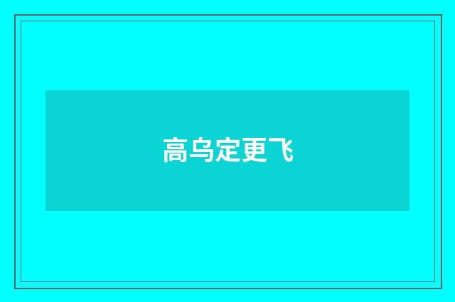 高乌定更飞