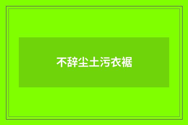 不辞尘土污衣裾