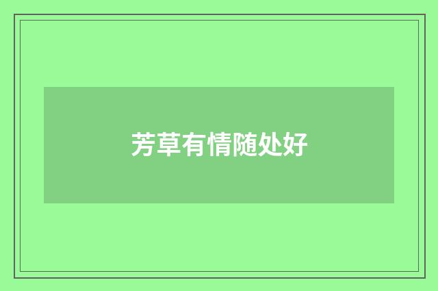 芳草有情随处好
