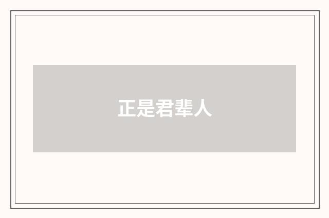 正是君辈人