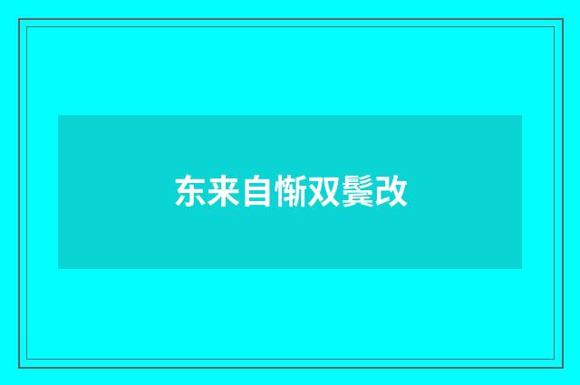 东来自惭双鬓改