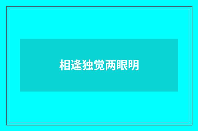 相逢独觉两眼明