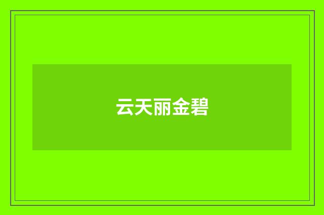 云天丽金碧