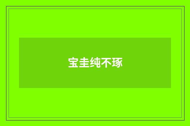 宝圭纯不琢