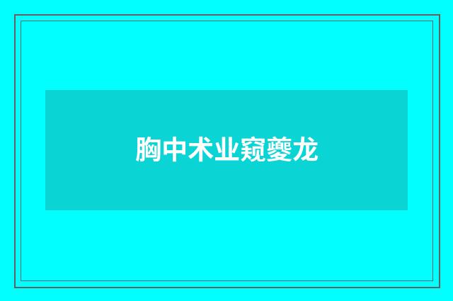 胸中术业窥夔龙