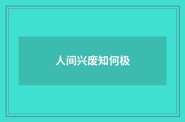 人间兴废知何极