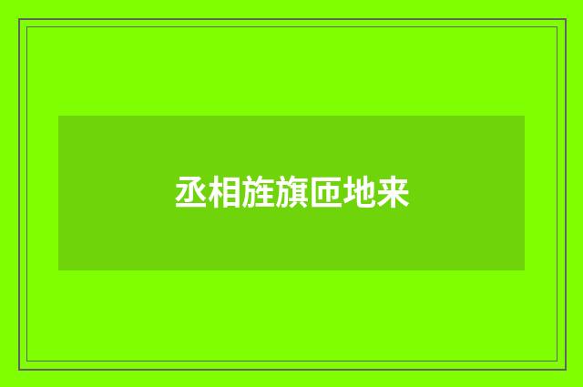丞相旌旗匝地来