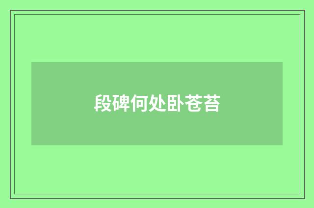 段碑何处卧苍苔