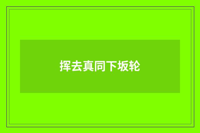 挥去真同下坂轮