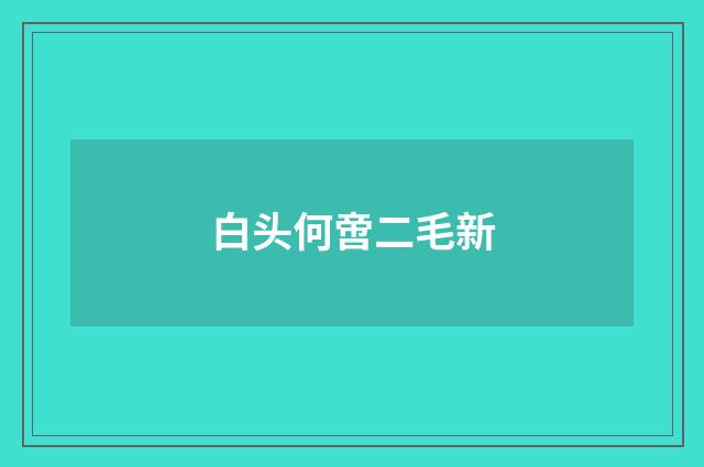 白头何啻二毛新