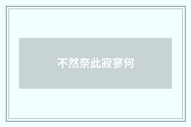 不然奈此寂寥何