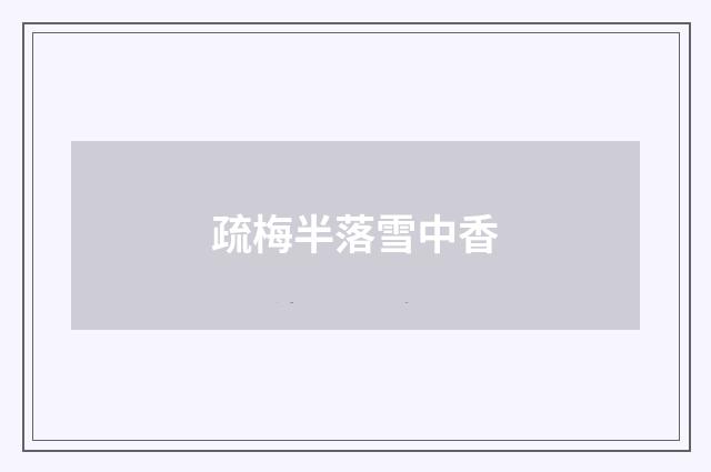 疏梅半落雪中香