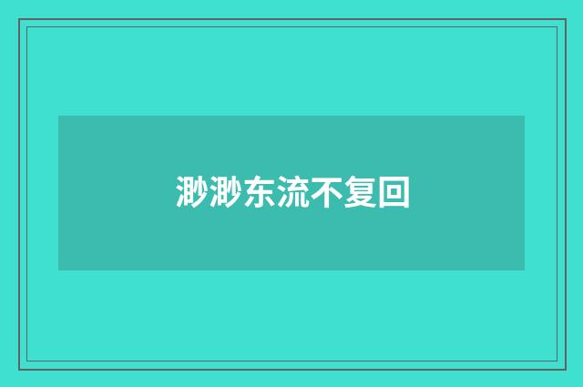 渺渺东流不复回