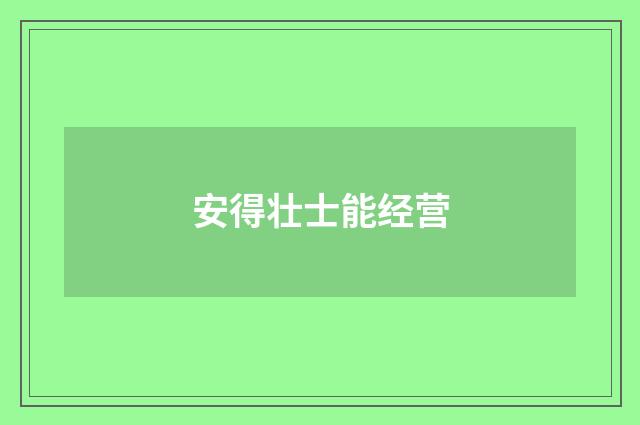 安得壮士能经营