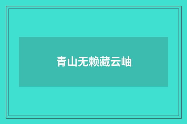 青山无赖藏云岫
