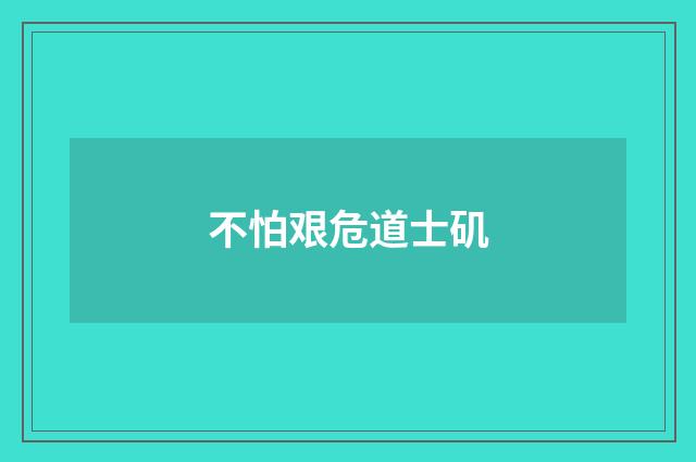 不怕艰危道士矶