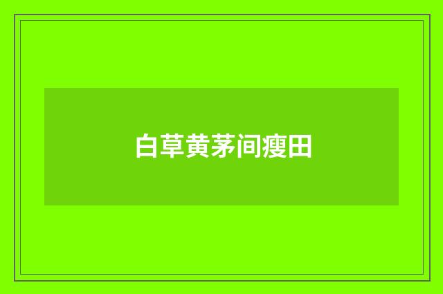 白草黄茅间瘦田