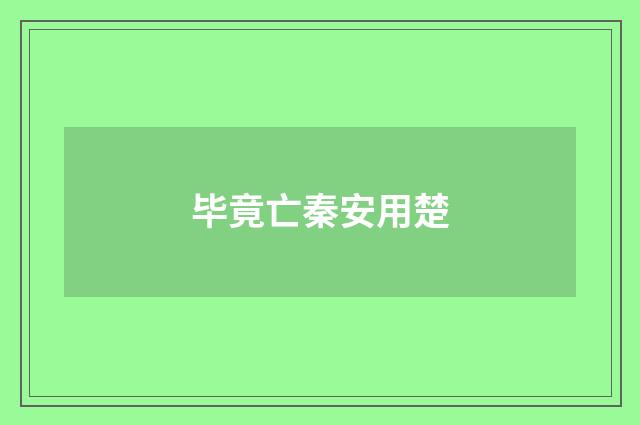 毕竟亡秦安用楚