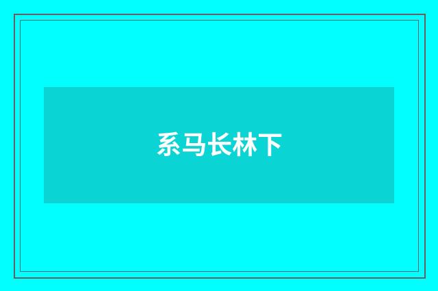 系马长林下
