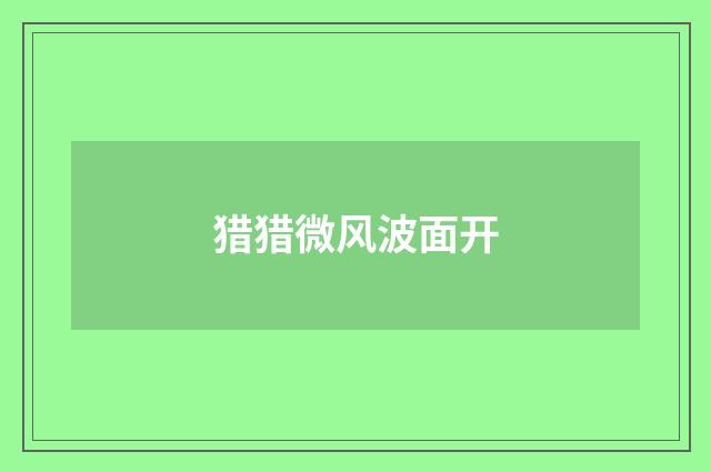 猎猎微风波面开