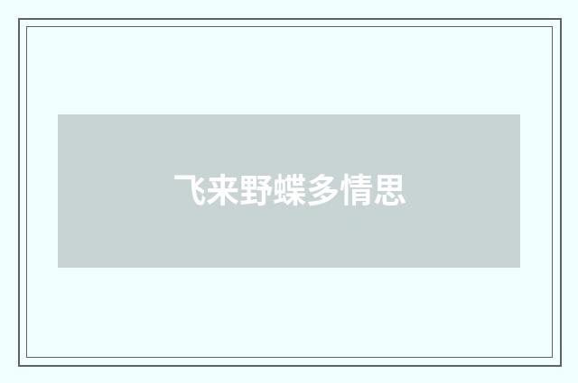 飞来野蝶多情思