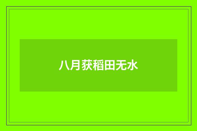 八月获稻田无水