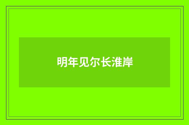 明年见尔长淮岸