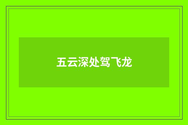 五云深处驾飞龙