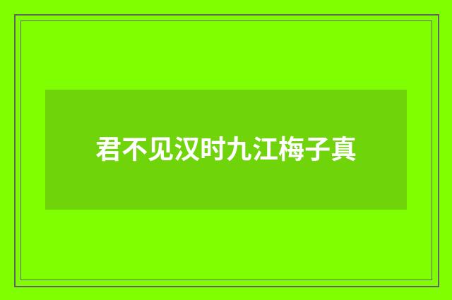 君不见汉时九江梅子真