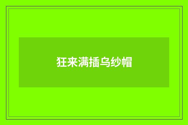 狂来满插乌纱帽