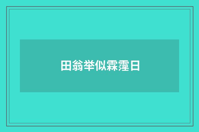 田翁举似霖霪日