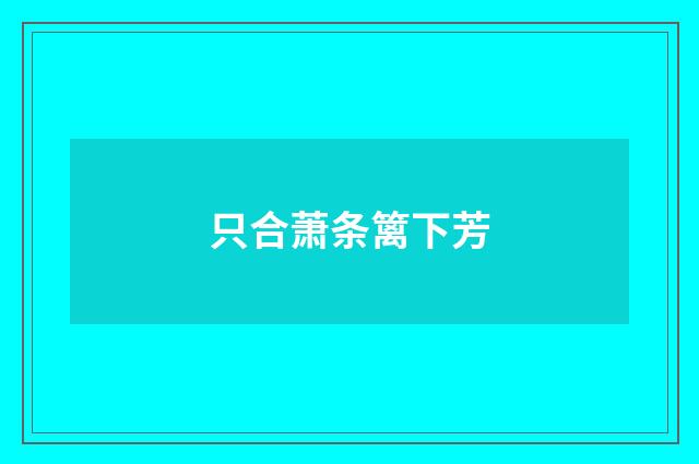 只合萧条篱下芳