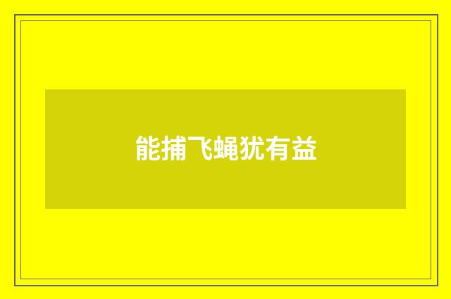 能捕飞蝇犹有益