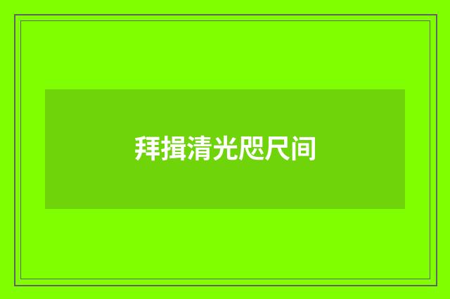 拜揖清光咫尺间