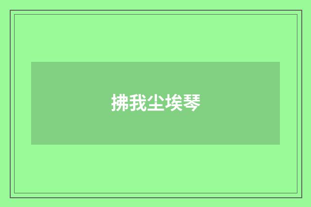 拂我尘埃琴