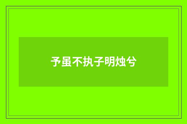 予虽不执子明烛兮