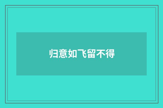 归意如飞留不得