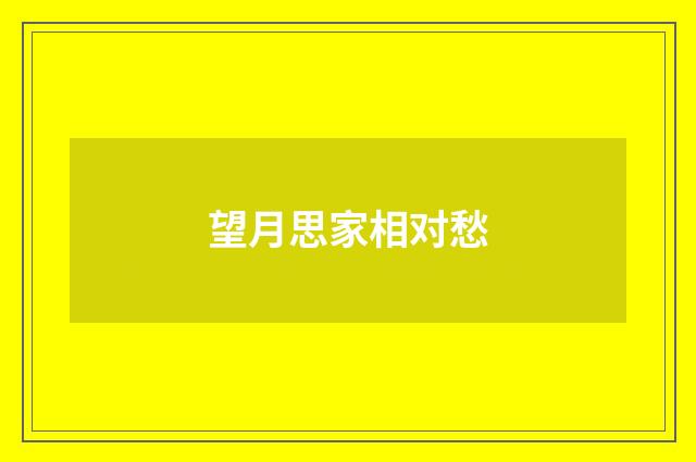 望月思家相对愁