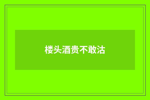 楼头酒贵不敢沽